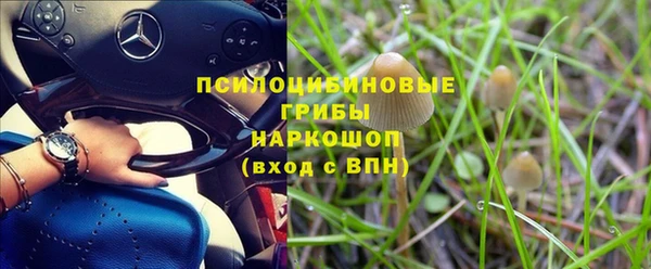 ГАЛЛЮЦИНОГЕННЫЕ ГРИБЫ Балахна